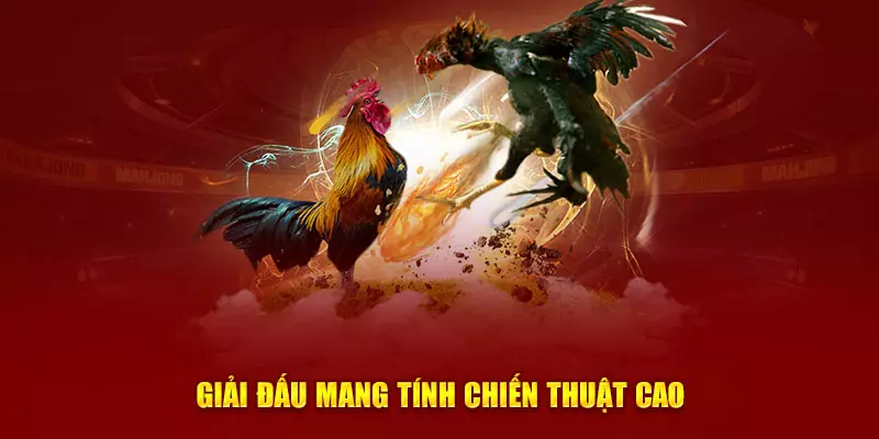 Các loại hình chọi gà mang tính chiến thuật cao